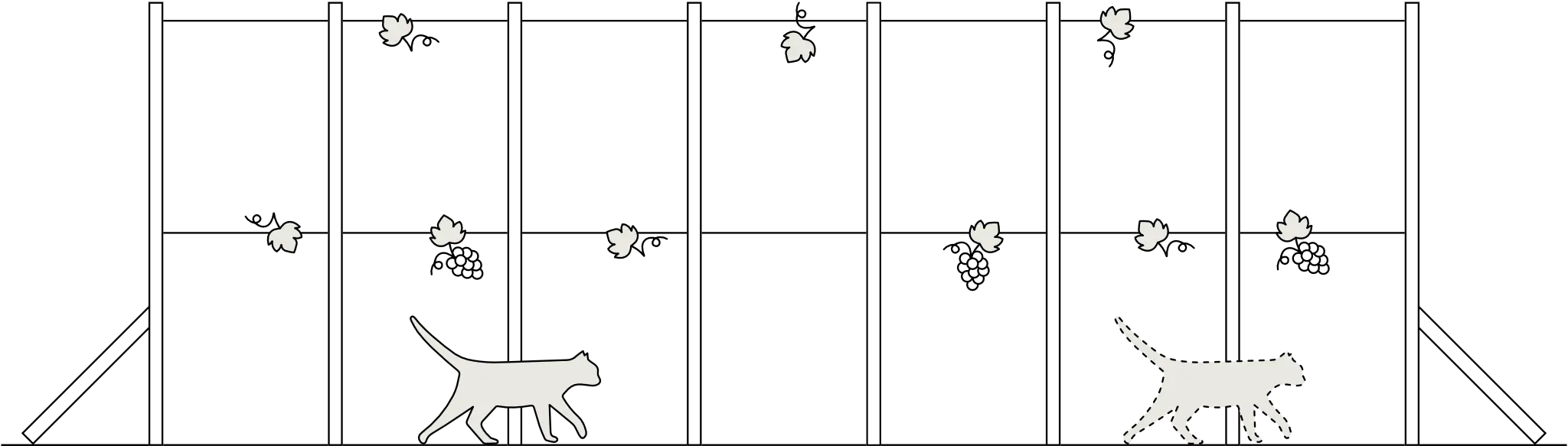 gatti e vigne, scrolla in su per visitare il sito